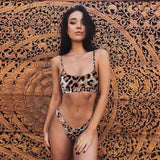 Snakeskin Bikini Women Swimwear